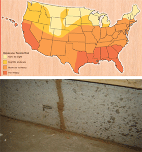 Two images. The first is a map diagram of regional infliction levels of termites in U.S. The second images is of a mud tube in a crack between the wall and the floor.