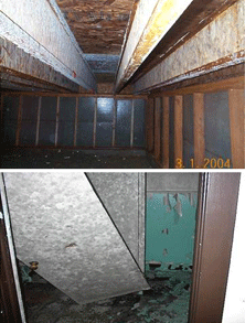 Two photos of structures covered in mold.