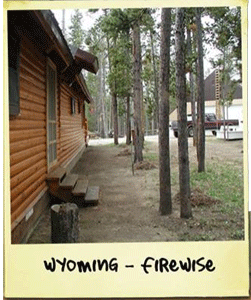 Polaroid style photo of a building with several trees within 10 feet of the structure.  The photo has text that reads, Wyoming-firewise.