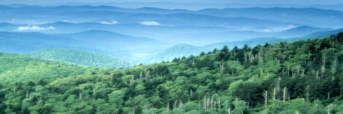 Photo of a mountainous densely treed landscape.