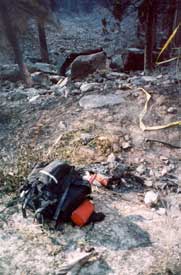 A pack on the road. Rocks at the upper center of this photo are where the Naches District firefighters were located.