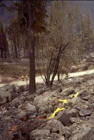 The upper deployment site, looking downcanyon.