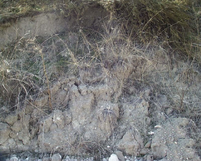 Slumping failure on the backslope.
