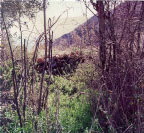 View of porous fill built over area saturated by exfiltration of subsurface flow.