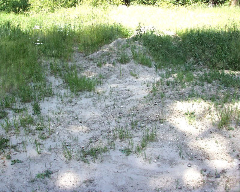 Filling in of grade dip outflow with sediment.