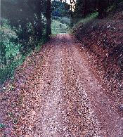Well drained outsloped road resists rutting.