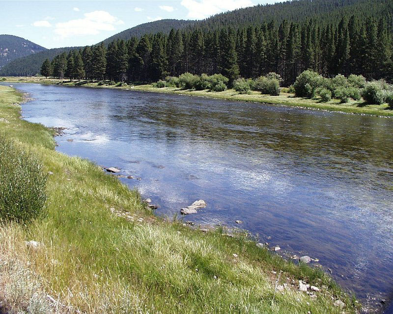 Sufficient buffer between road and stream to prevent impacts to stream and fish habitat.