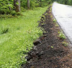 Turnpike road fill causing isolation of flood plain.