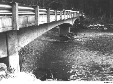 Figure 14Irene Bridge over Cascade River, Mt. Baker-Snoqualmie National Forest, Region 6.  Drift buildup on upper side of pier.
