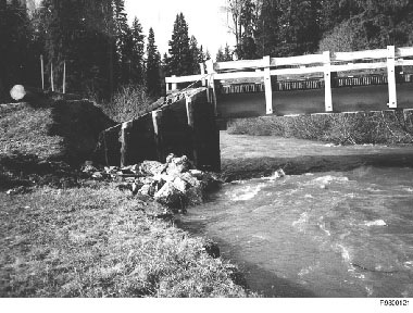 Figure 15Monture Bridge, Lolo National Forest.  An example of abutment fill failure with little damage to the bridge.