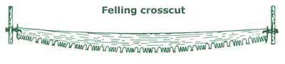 Image of a felling crosscut saw.