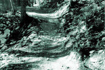 Photo of a rolling grade dip.