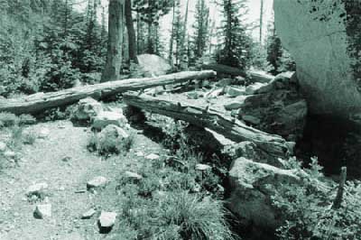 Photo of an abandoned trail.