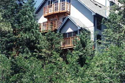 A photo of a house within trees.