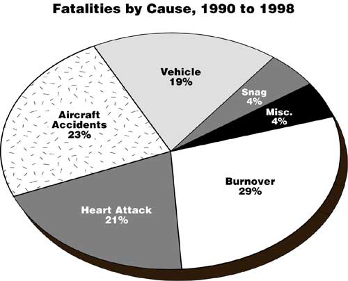 A pie graph depicting Fatalaties by Cause from 1990 to 1998. Burnover=29%, Aircraft Accidents=23%, Heart Attack=21%, Vehicle=19%, Snag=4%, and Misc.=4%.