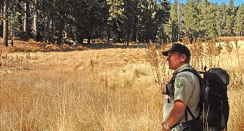 Photo of a ranger in the field resting in a large meadow.