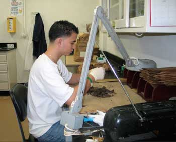 Photo of a volunteer in a lab sorting organic litter.
