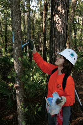 Photo of a volunteer painting markers on a tree along a trail.