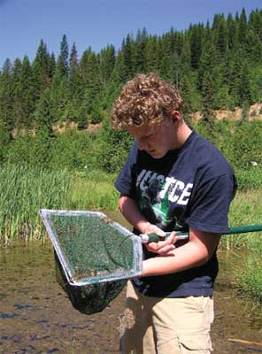Photo of a volunteer holding a net standing next to a pond during an amphibian survey project.