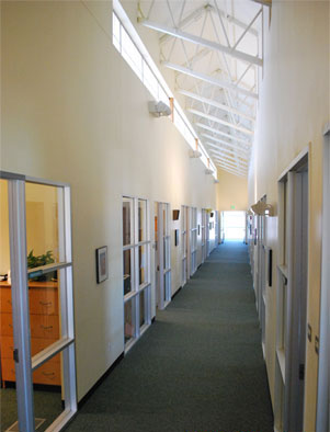 Photo of the Clerestory windows that provide natural light to the building.