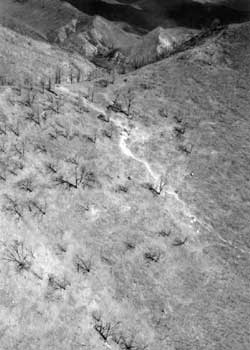 [photo] Hillside where the main entrapment was.