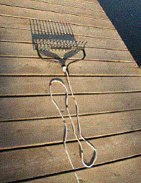 photo 2 double headed rake