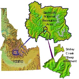 Smiley Creek Sheep Allotment
