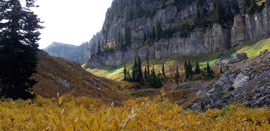 Forest Service Favorite Photos