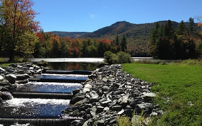 Glorious fall color surrounds the fish ladder at Lefferts Pond Area Area in the Green Mountain National Forest.