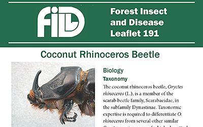 Publication cover of Coconut Rhinoceros Beetle FIDL