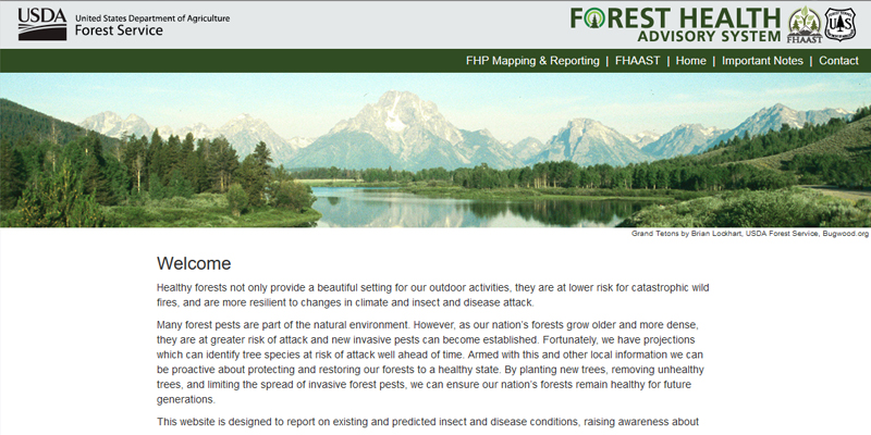 Forest Pest Conditions