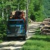 A loaded log truck on a forest road passing a log deck.