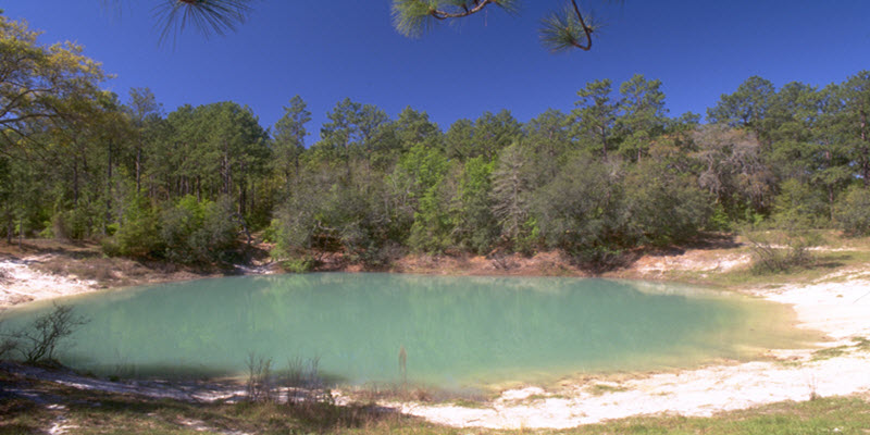 Image of a sinkhole on the Leon Sinks Trail