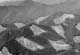 clearcutting  -- visit galleries
