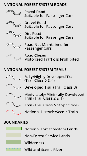 The Forest Interactive Map