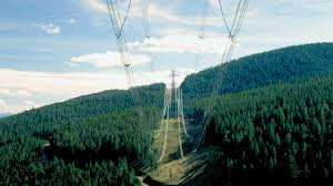 A row of high voltage powerlines running above a cutout section of trees.