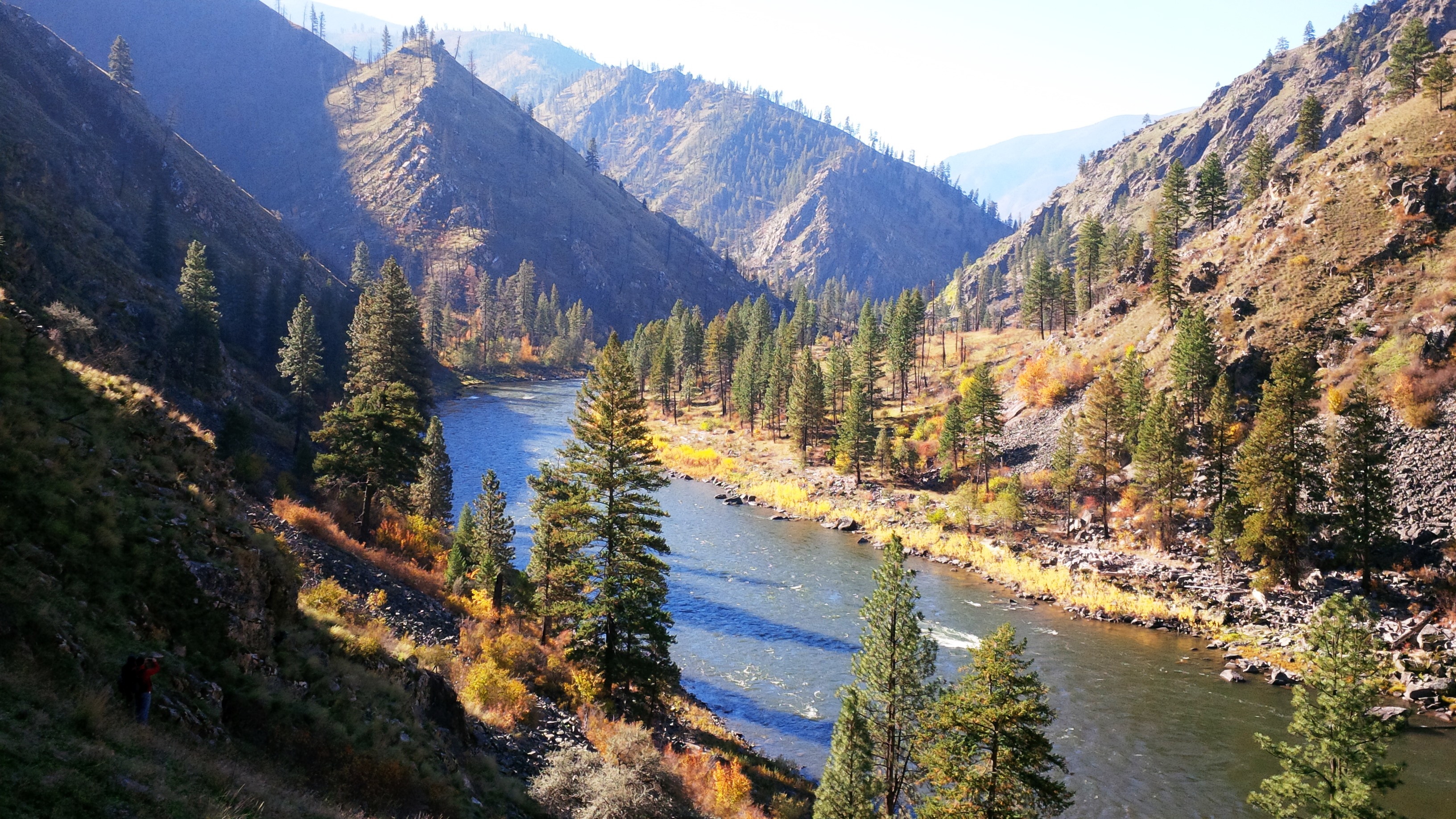 Special Alpine Trout Area 