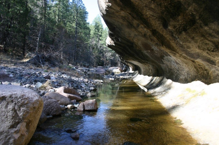 Special Alpine Trout Area 