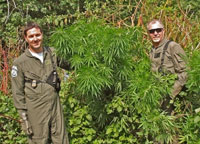 Two US Forest Service officers in flight suits stand on either side of a large marijuana plant.