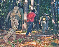 US Forest Service law enforcement officers in camo uniforms walk a man in handcuffs out of the woods.