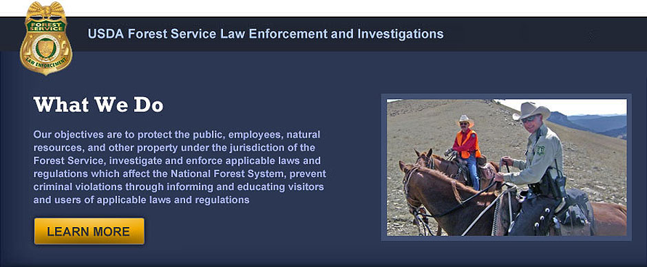 Learn More about What We Do