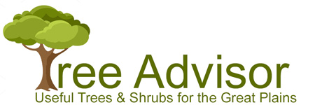 Tree Advisor logo