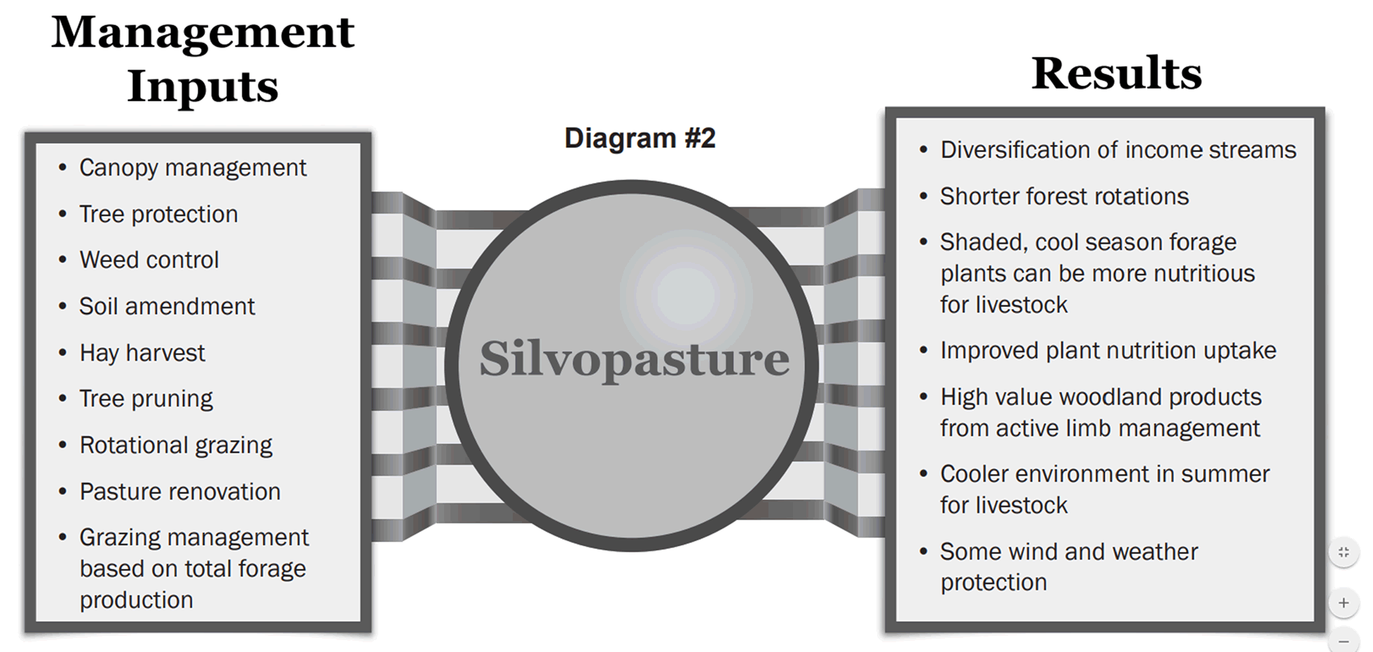 Silvopasture diagram showing management inputs on the left and results on the right.