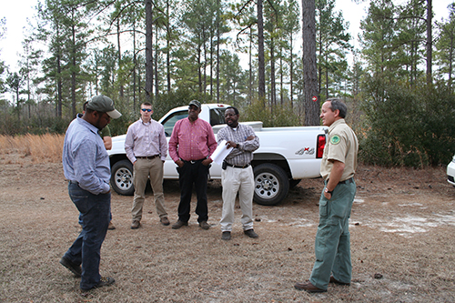 Image of a group of people conversing in a forest.