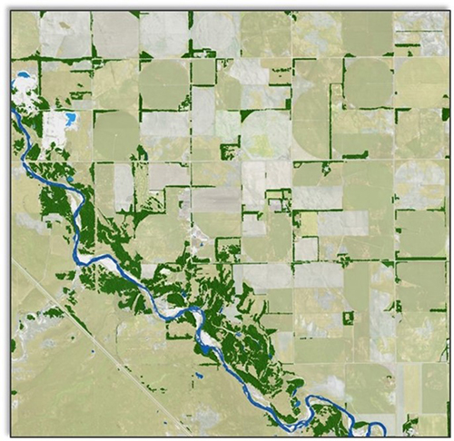 Image of a map showing areas with trees.