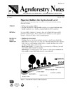 publication cover