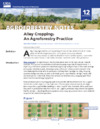 publication cover