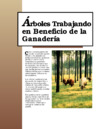 publication cover