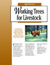publication cover