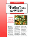 publication cover